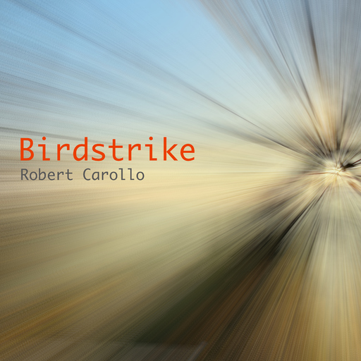 Robert Carollo - Birdstrike