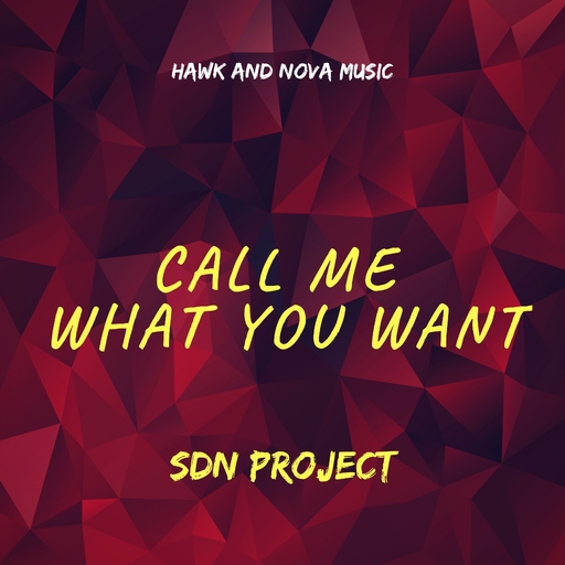 SDN Project - Call Me What You Want