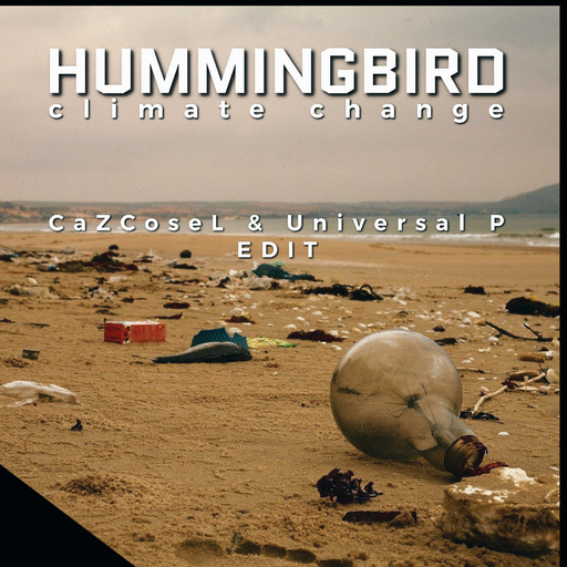 Hummingbird feat. Kendall WA - Climate Change