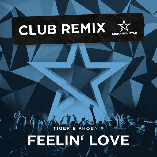 Tiger & Phoenix - Feelin' Love