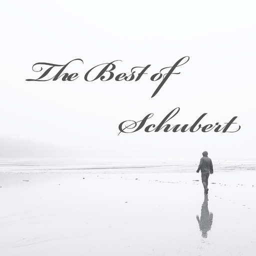 Wigberht Grimwald - The Best of Schubert