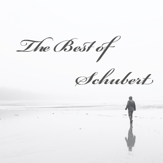 Wigberht Grimwald - The Best of Schubert