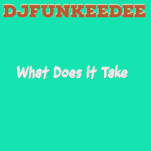 Djfunkeedee - What Does It Take