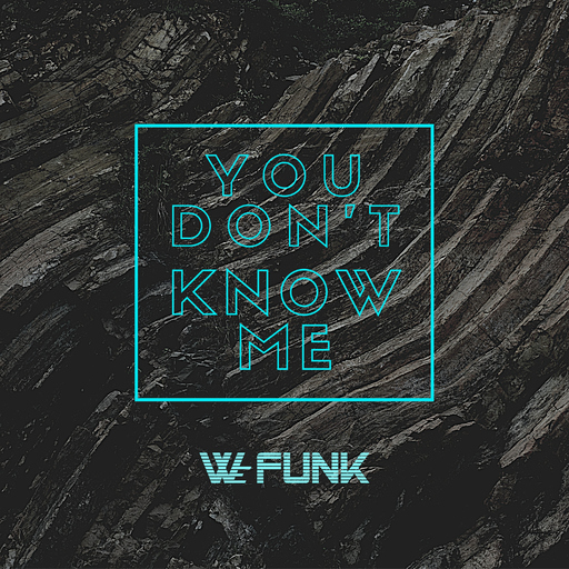 We Funk - You Don't Know Me