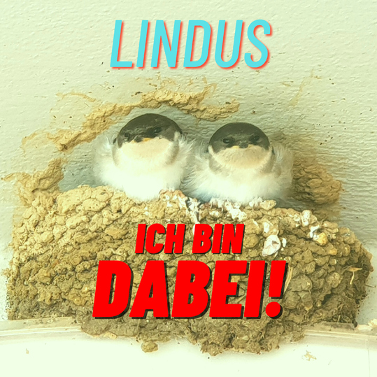 Lindus - Ich bin dabei