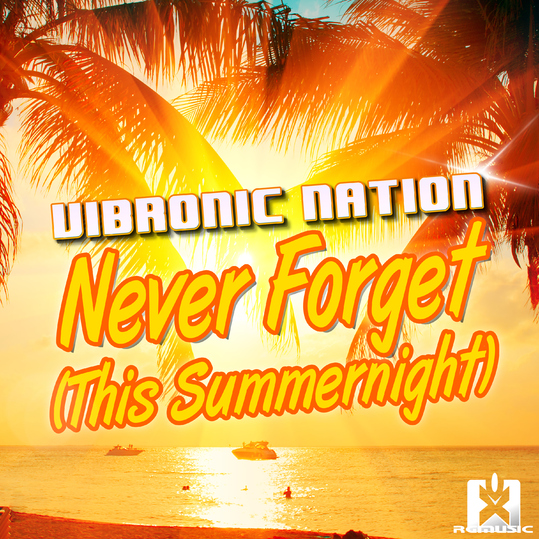 Vibronic Nation - Never Forget