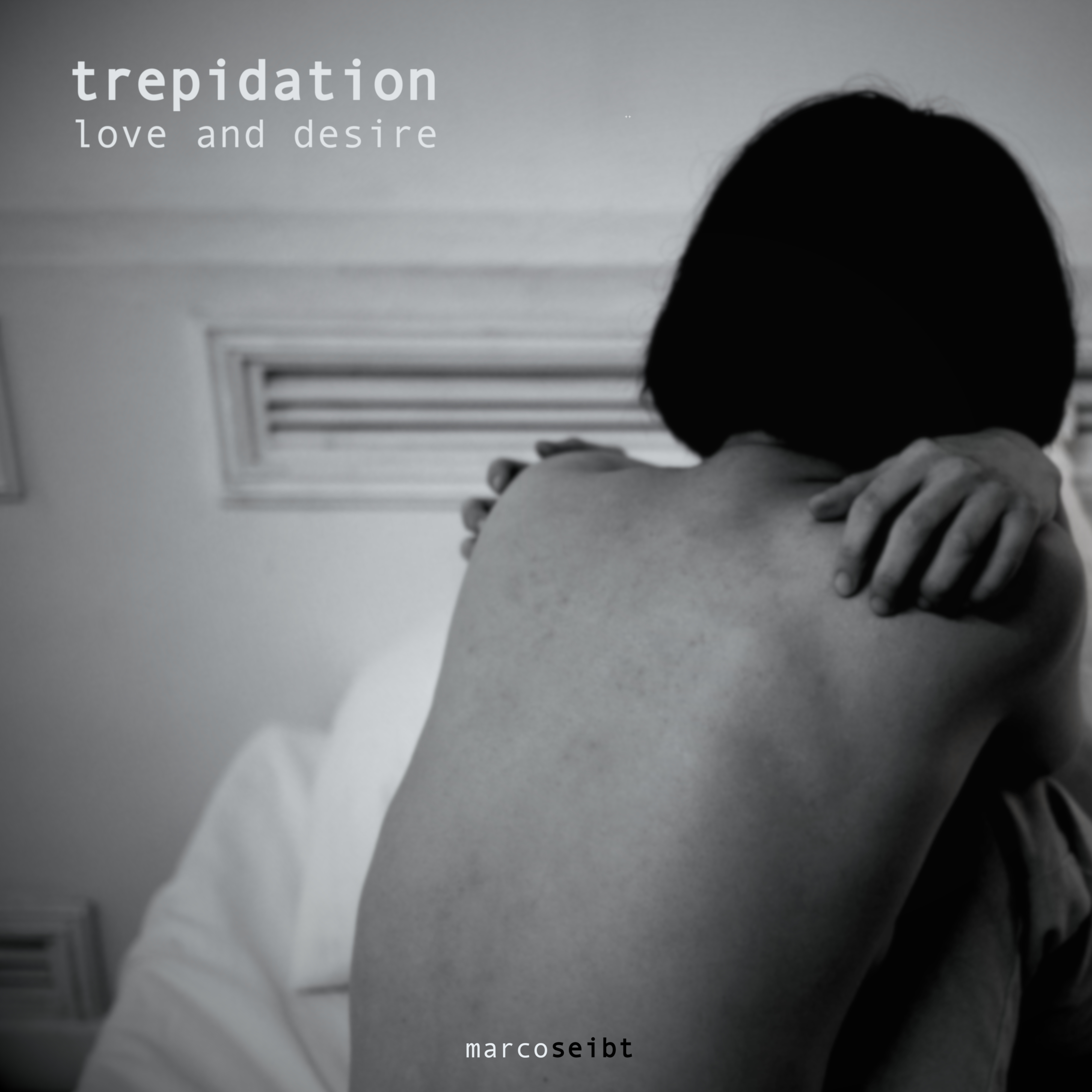 Marco Seibt - Trepidation (Love and Desire)