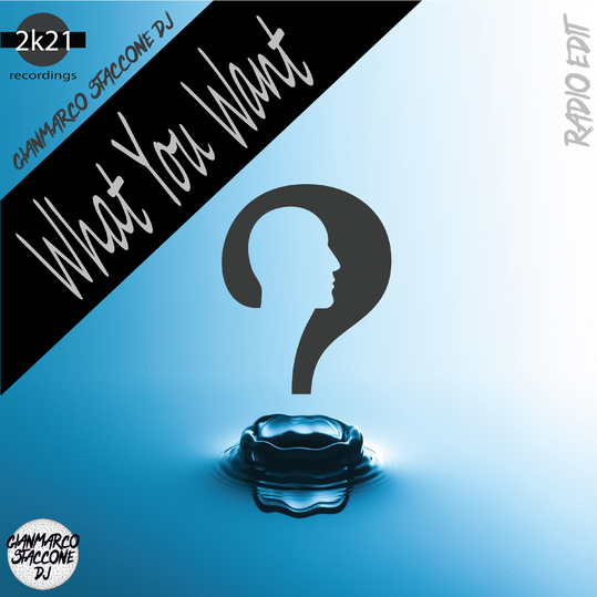 Gianmarco Staccone DJ - What You Want