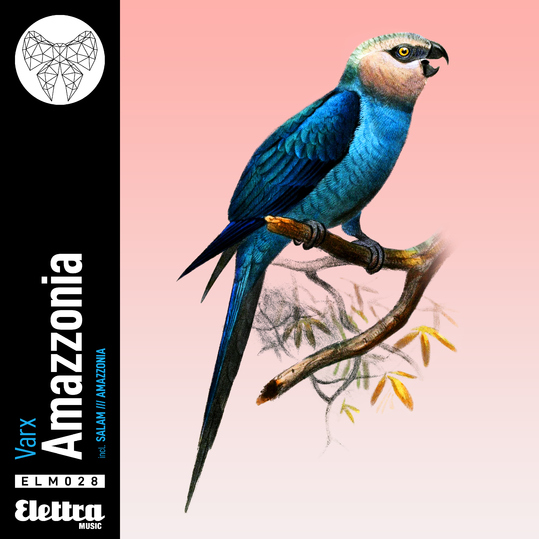 Varx - Amazzonia