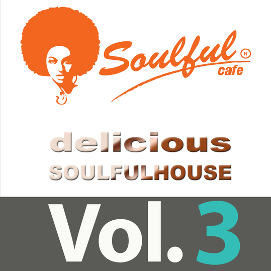 Various Artists - Delicious Soulful House, Vol. 3