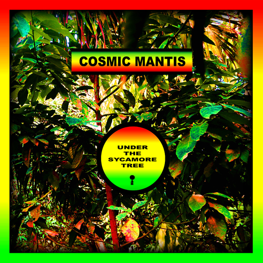 Cosmic Mantis - Under the Sycamore Tree