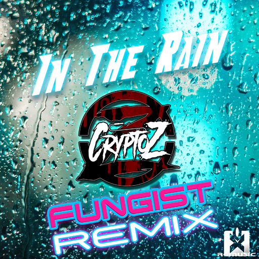 CryptoZ - In the Rain