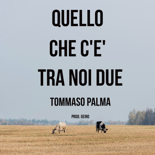 Tommaso Palma - Quello che c'è tra noi due