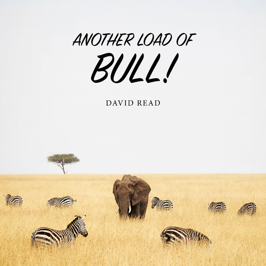 David Read - Another Load of Bull
