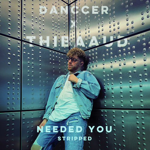 DANCCER & THIBAAUD - Needed You