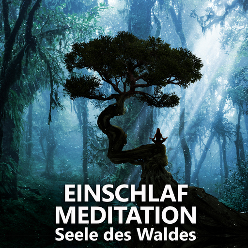 Raphael Kempermann - Einschlafmeditation | Seele des Waldes