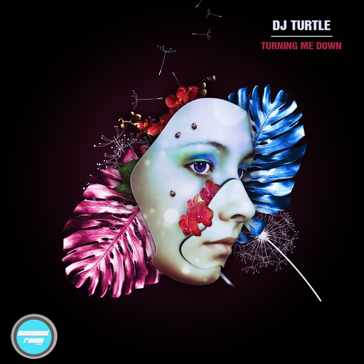 Dj Turtle - Turning Me Down