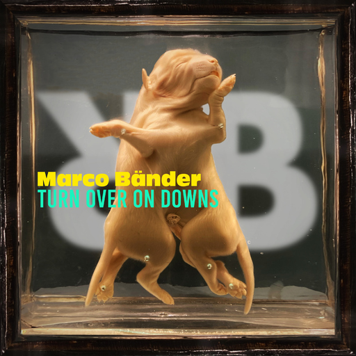 Marco Bänder - Turn over on Downs