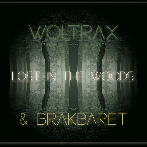 Woltrax & BRAKBARET - Lost in the Woods