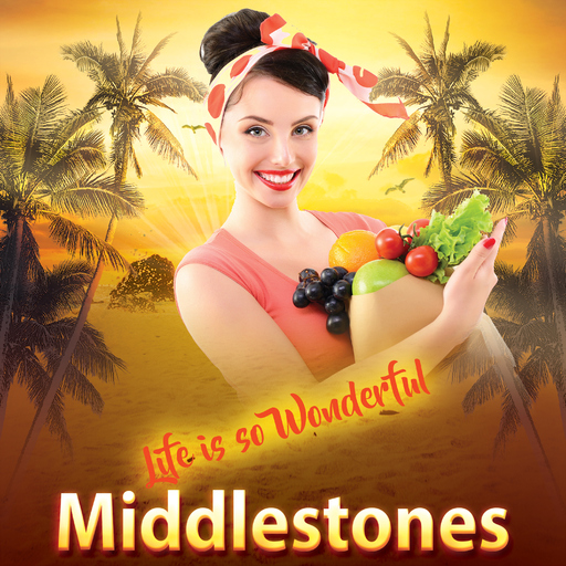 Middlestones - Life Is so Wonderful