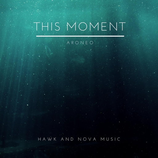 ARONEO - This Moment