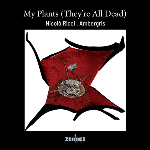 Nicolò Ricci - My Plants (They're All Dead)