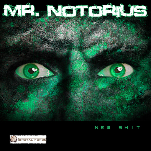 Mr. Notorius - New Shit