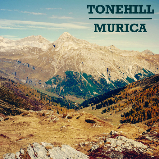 Tonehill - Murica