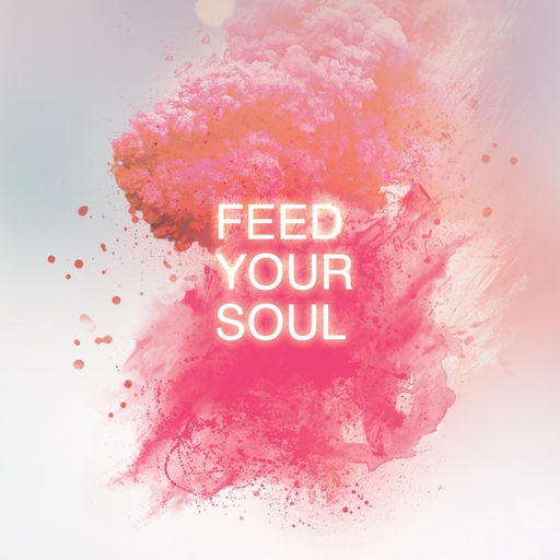 David Hasert & Nic Lorenz - Feed Your Soul