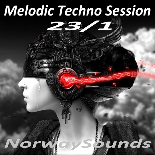 Various Artists - Melodic Techno Session