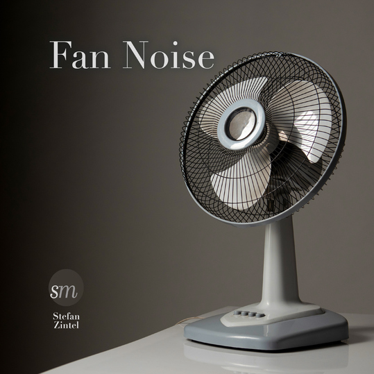 Stefan Zintel - Fan Noise