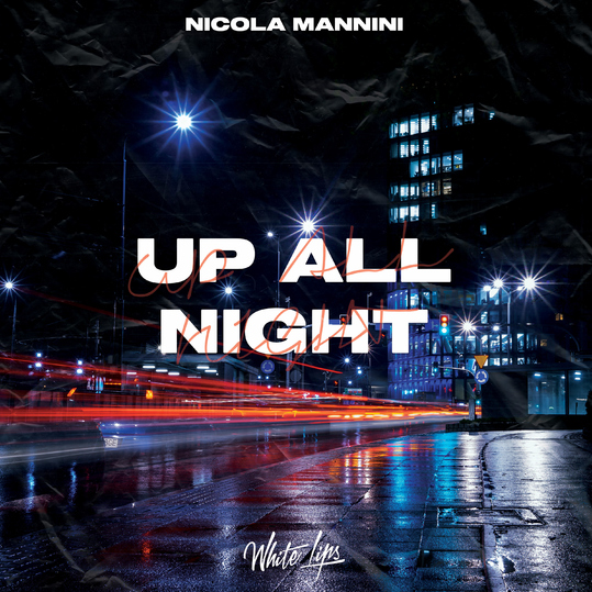 Nicola Mannini - Up All Night