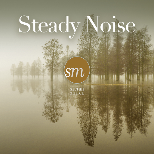 Stefan Zintel - Steady Noise