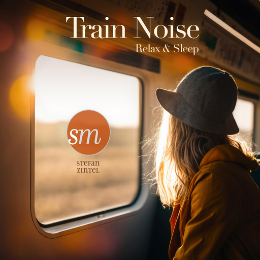 Stefan Zintel - Train Noise
