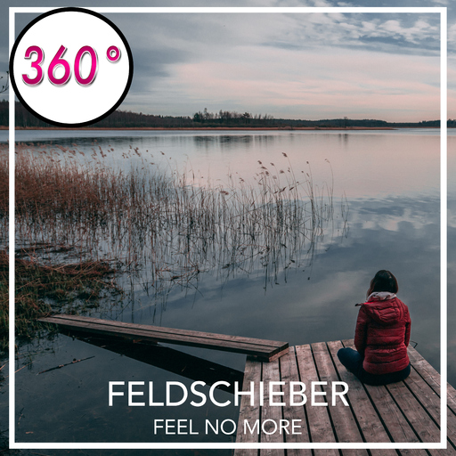 Feldschieber - Feel No More