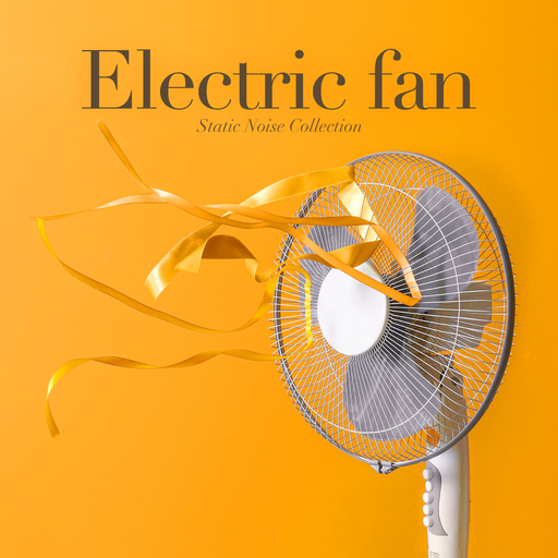 Static Noise Collection - Electric Fan