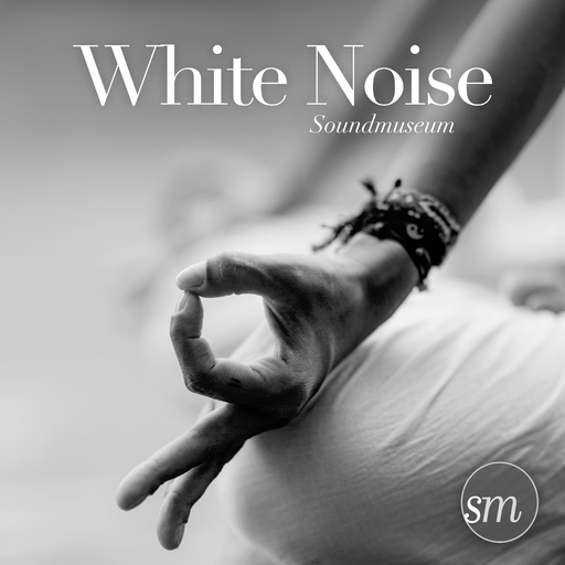 Soundmuseum - White Noise