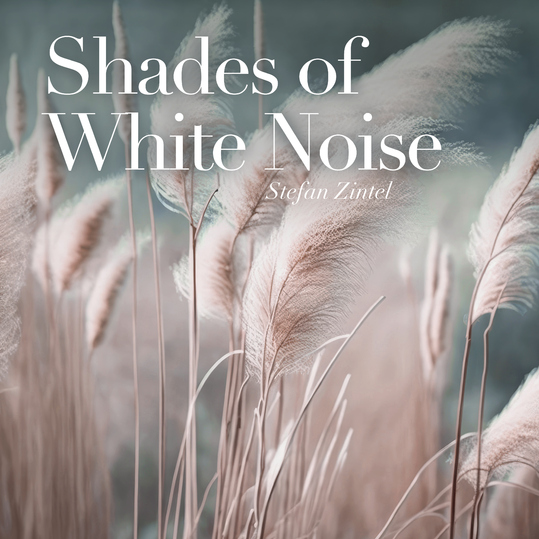 Stefan Zintel - Shades of White Noise