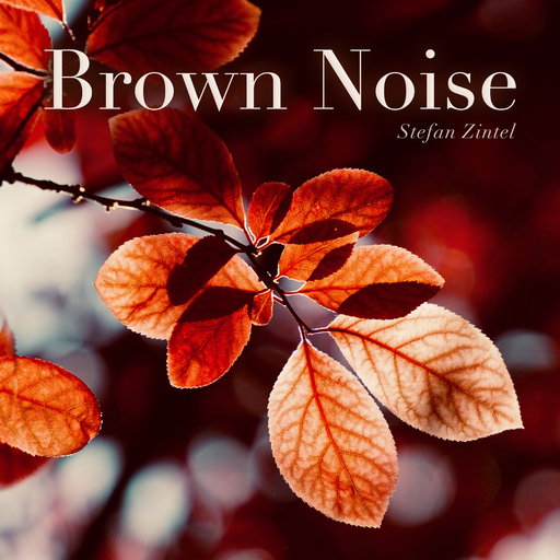 Stefan Zintel - Brown Noise