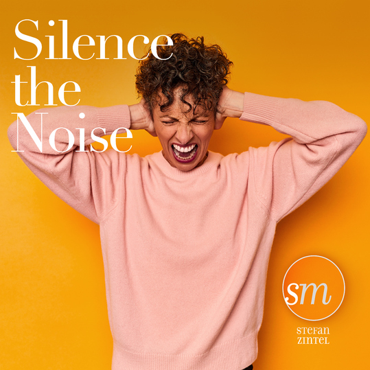 Stefan Zintel - Silence the Noise