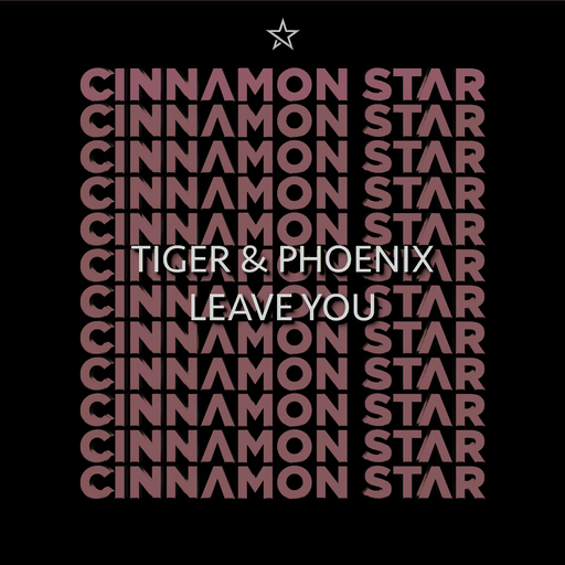 Tiger & Phoenix - Leave You