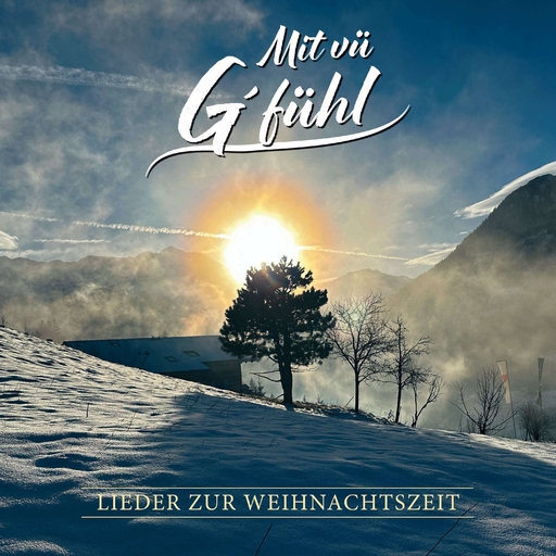 Various Artists - Mit vü G'fühl