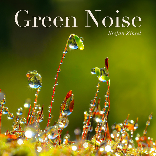 Stefan Zintel - Green Noise