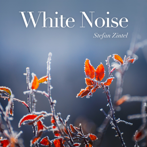 Stefan Zintel - White Noise