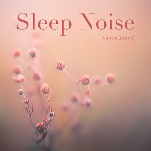 Stefan Zintel - Sleep Noise