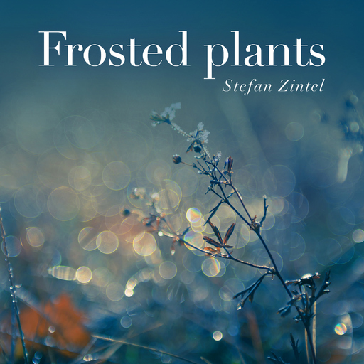 Stefan Zintel - Frosted Plants