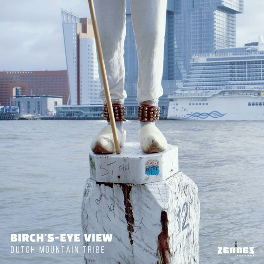 Dutch Mountain Tribe feat. Koen Boeijinga - Birch's-Eye View