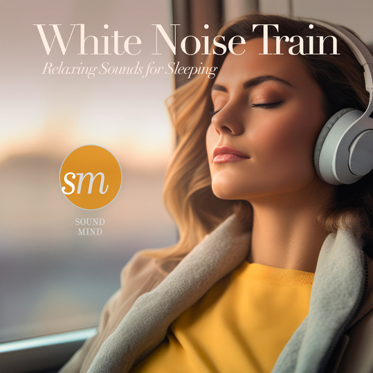 Sound Mind - White Noise Train