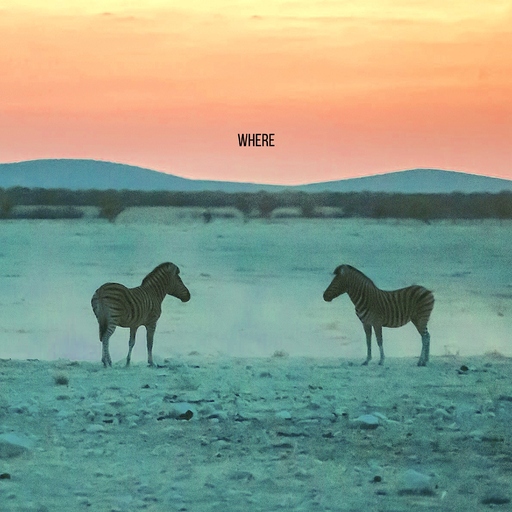 Absence Of Doubt - WHERE