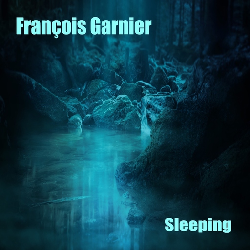 François Garnier - Sleeping